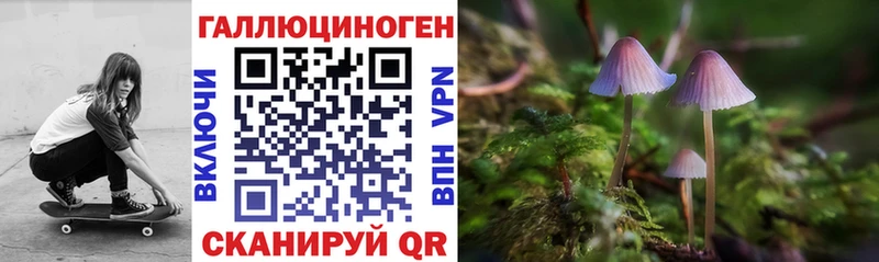 Галлюциногенные грибы MAGIC MUSHROOMS  Купить закладки  Злынка 