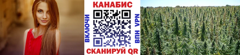 Конопля AK-47  Купить где  Злынка 